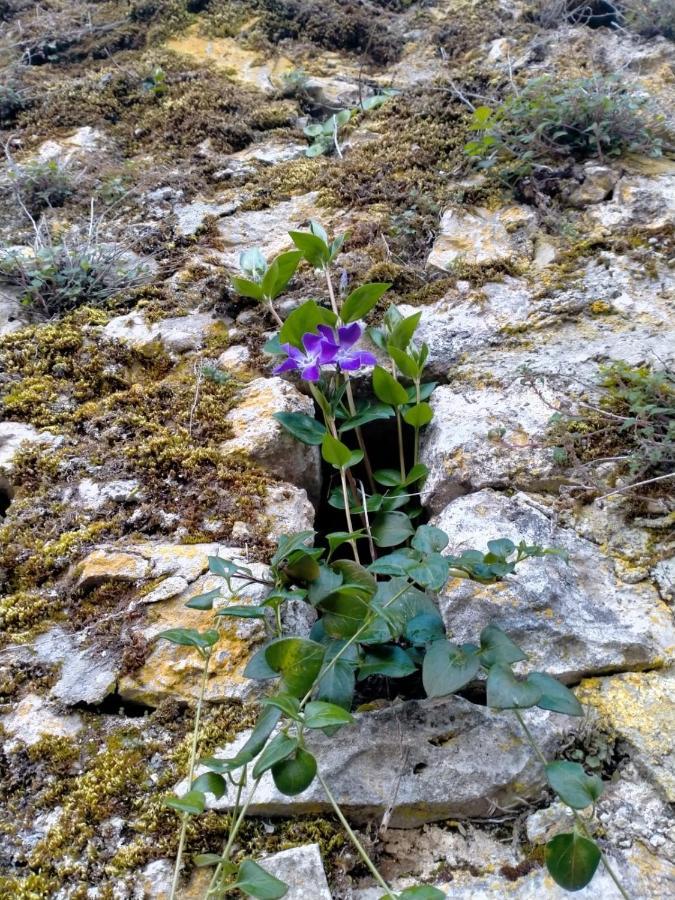 Casa In Splendida Riserva Naturale Pettorano sul Gizio Kültér fotó